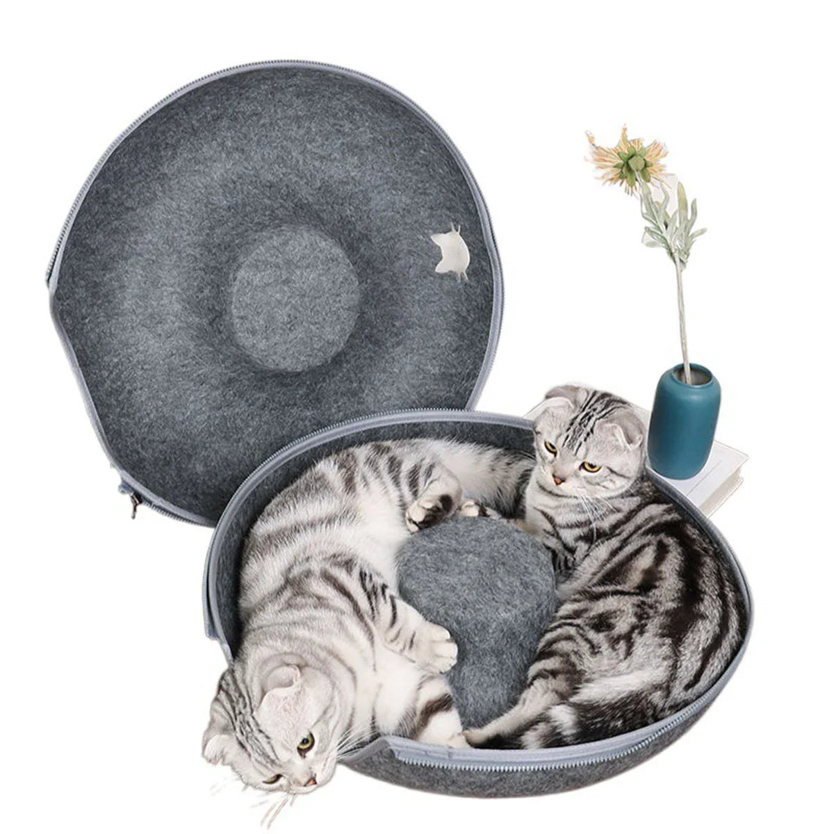 Cat Furniture Accessories